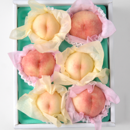 製品画像